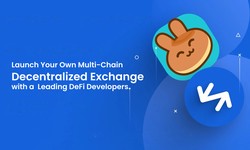 Launch Your Own Multi-Chain Decentralized Exchange with a Leading DeFi Development Company