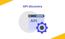 Navigating the World of APIs: API Marketplace vs. API Portal