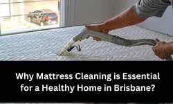 Why Mattress Cleaning is Essential for a Healthy Home in Brisbane?