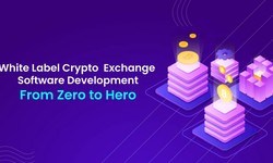 White Label Cryptocurrency Exchange Software Development: From Zero to Hero