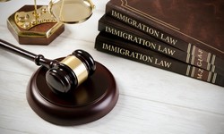 Navigating the Legal Landscape: Your Guide to Business, Commercial, Immigration, and Family Law
