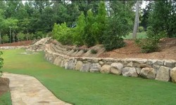 Transforming Your Outdoor Oasis: Choosing the Best Atlanta Landscaping Contractors