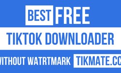 Video Downloader for TikTok - TikMate for Any Device