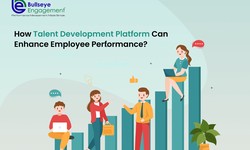 Accelerating Growth and Performance: Harnessing the Potential of a Talent Development Platform
