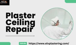 How to Choose the Best Plaster Ceiling Service in Norfolk?