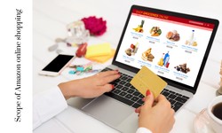 Unveiling the Vast Scope of Amazon Online Shopping in the USA