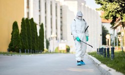Top Reasons to Trust Our Exterminators in Niagara Falls for Pest Control