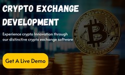 How to Maximize Profits with a Customized Crypto Exchange Development Company?