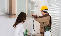 Protecting Your Home: Choosing the Best Pest Control Services in London