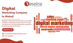 Which Digital Marketing Company Stands Out in Mohali for Its Outstanding Services?