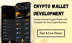 Exploring the Benefits of Hiring a Professional Crypto Wallet Development Company