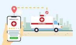 Why is Uber for Pharmacy Delivery Services Transforming Healthcare Accessibility?