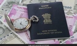 Exploring the Benefits and Limitations of the Five-Year Indian Visa