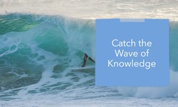How the Orewa Surf Cam Educates Surfers on Current Events.
