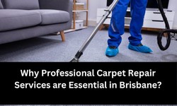 Why Professional Carpet Repair Services are Essential in Brisbane?