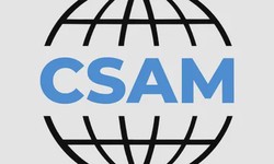 Why do organizations need CSAM Certification?