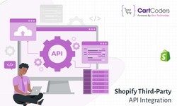 Shopify Third-Party API Integration - A Beginner's Guide