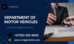 Understanding the Nevada DMV Registration Renewal Requirements