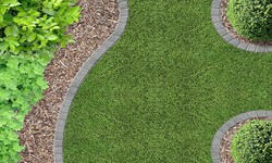 Transforming Your Outdoor Space with Professional Landscape Services