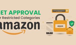 Mastering Product and Category Approvals on Amazon