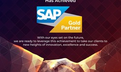 Elevating Commerce with SAP Hybris