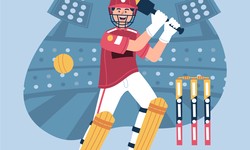 Preparing to Host the Next Cricket World Cup: A Guide to Sports Management in 2024 | MSM Unify