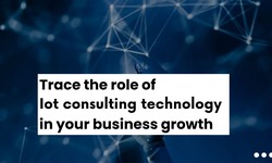 Trace the role of IoT consulting technology in your business growth