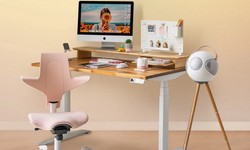 What Are The Array Of Designs In Contemporary Computer Desks?