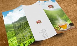 VERMAART: Elevating Brand Image through Exquisite Brochure Designs