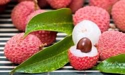 Project Report 2023: Setting up a Lychee Processing Plant