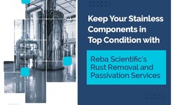 Effective Ways to Remove Rust From Stainless Steel Surfaces