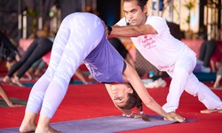Yoga Teacher Training in India All Guidance