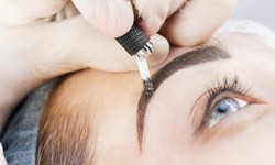 Introducing Boston's Art of Microblading: Your Road to Perfection
