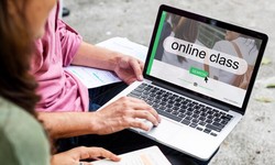The Future of Learning: Exploring SSSTS Training Online