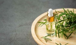 Rosemary Essential Oil: A Comprehensive Guide to Benefits and Uses