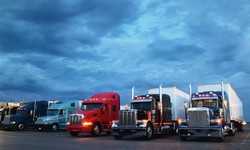 Transport Trucking Companies: Delivering Fresh Foods