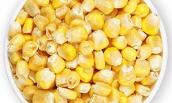 Unlocking the Potential of Freeze-Dried Corn Kernels: Flavor, Nutrition, and Versatility