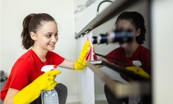 Sustainable Sparkle: Your Guide to Eco-Friendly Cleaning Services Nearby