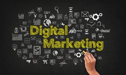 Using 6 Digital Marketing Services In Noida Strategies Like The Pros