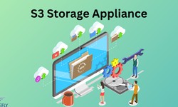 Understanding the S3 Storage Appliance