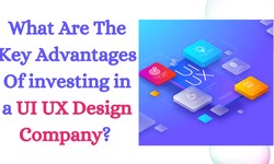 What Are The Key Advantages Of Investing in a UI UX Design Company?