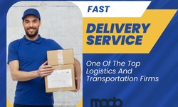 What is Mado Movers?