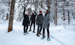 Snowshoeing: The splendors of winter at your fingertips