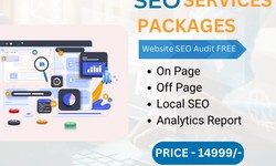Delhi SEO Services: Personalized Packages for Your Business