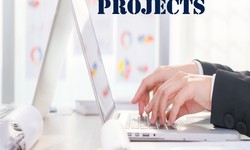 Data Entry Projects Provider in Noida
