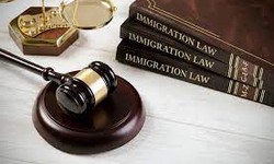 Expert Immigration Solicitors in the UK"