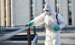 Inside the World of Pest Control: What You Should Expect from Pest Control Services