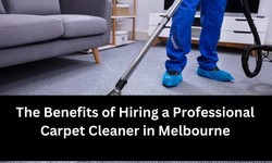 Top 5 Carpet Cleaning Companies in Brisbane: Who Should You Trust with Your Precious Carpets?