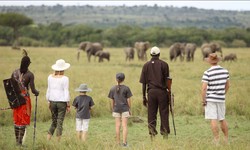Embark on a Remarkable Journey: Luxury Safari in Kenya