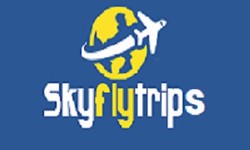 Sky Fly Trips: Your Ultimate Destination for Booking Flights